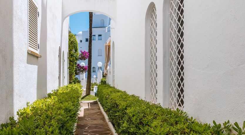 Photo of Like a Desert Flower