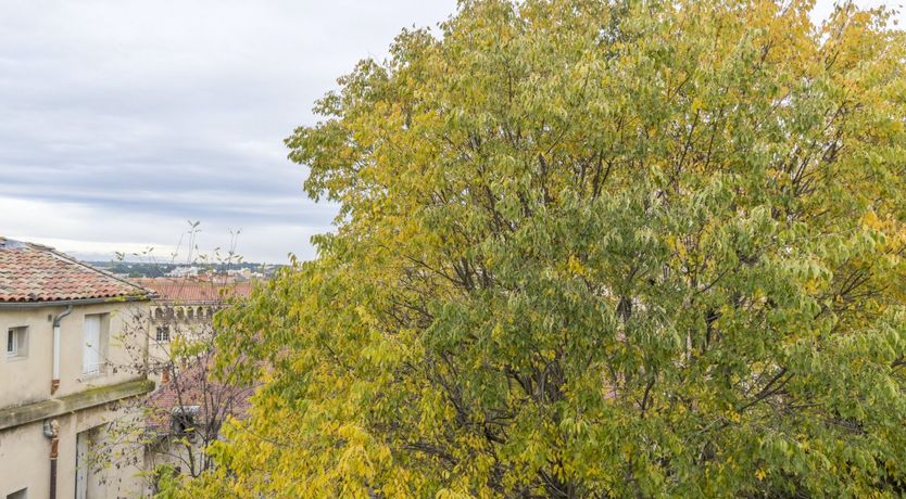 Photo of Moon Over Montpellier