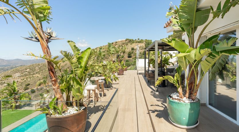 Photo of Queen of the Mountains