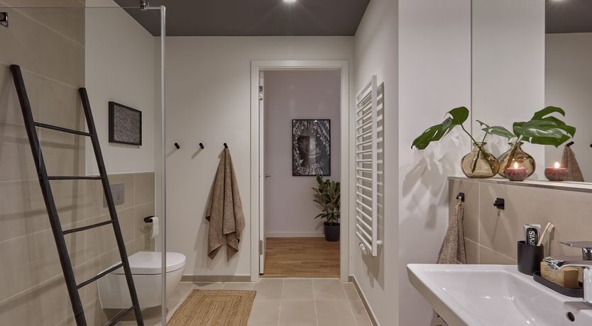 Photo of Urban Tropics