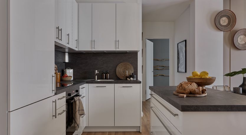 Photo of Urban Tropics