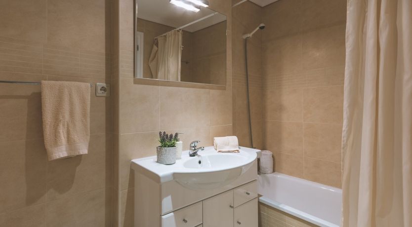 Photo of Palm-Lined Skies