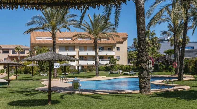 Photo of Palm-Lined Skies