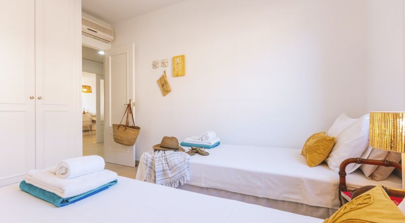 Photo of Palm-Lined Skies