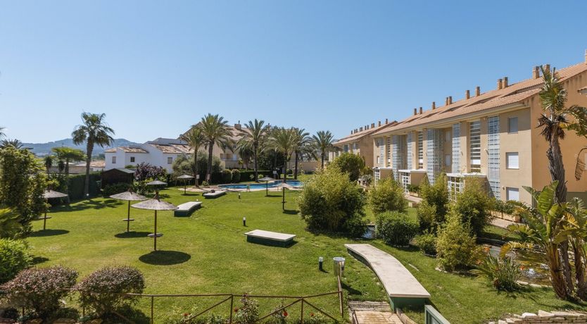 Photo of Palm-Lined Skies