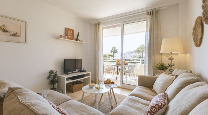 Photo of Palm-Lined Skies