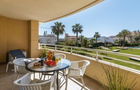 Photo of palm-lined-skies