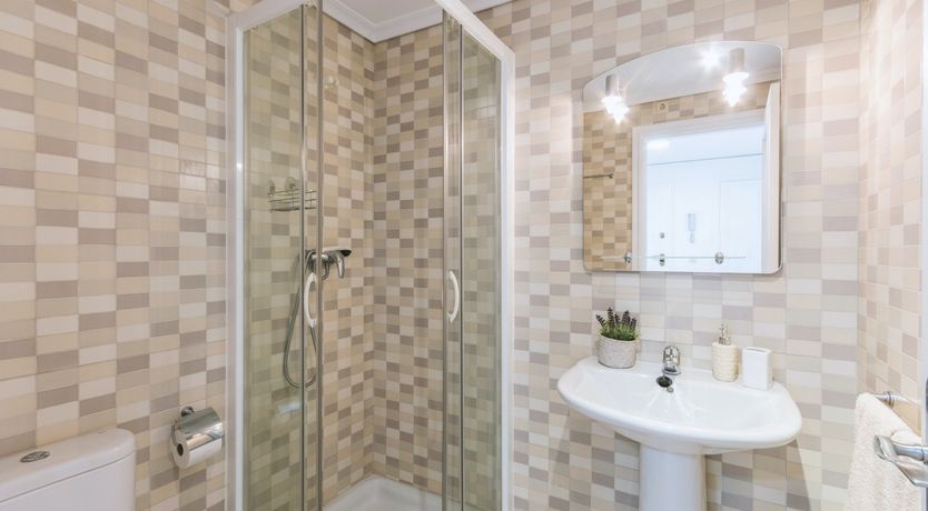 Photo of Palm-Lined Skies