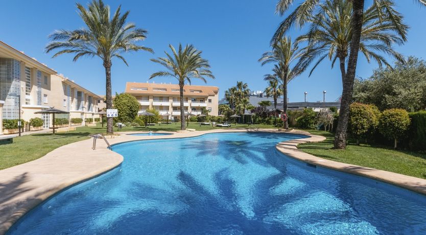 Photo of Palm-Lined Skies