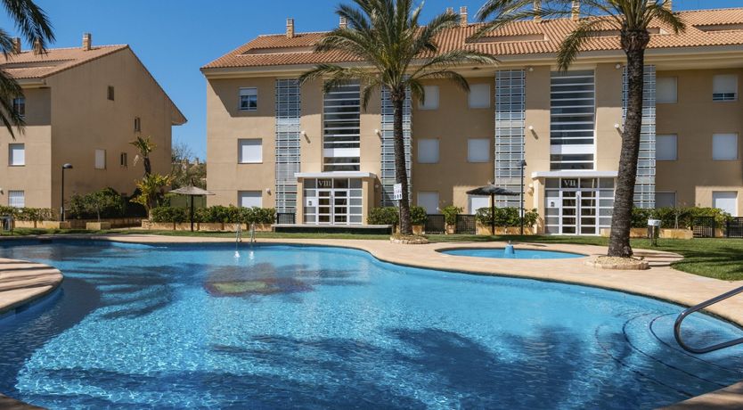 Photo of Palm-Lined Skies