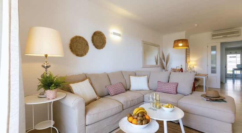 Photo of Palm-Lined Skies