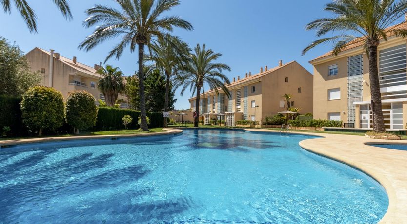 Photo of Palm-Lined Skies