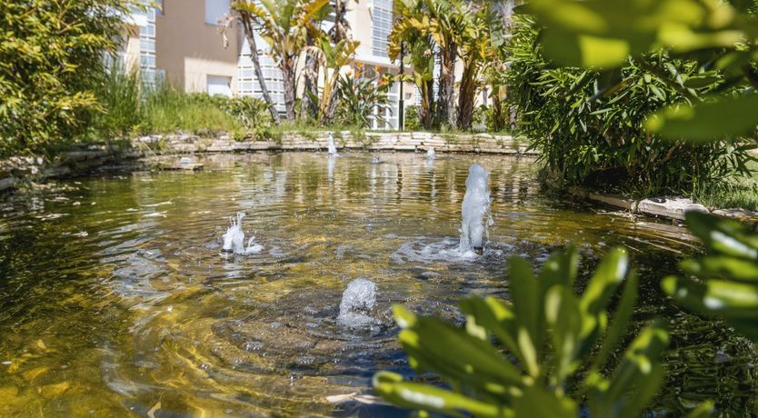 Photo of Palm-Lined Skies