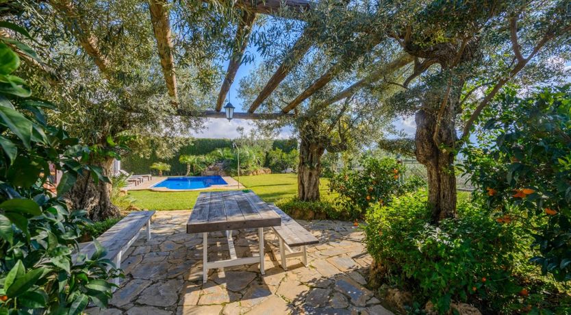 Photo of Let Me Set the Scene