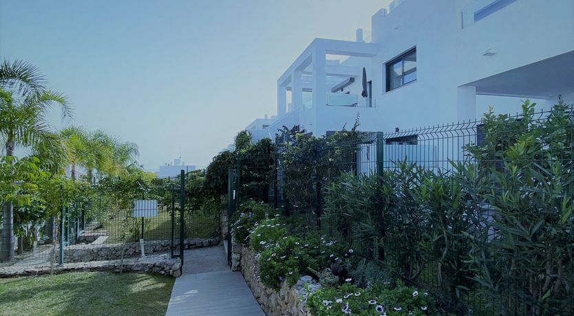 Photo of Twist of Lemon