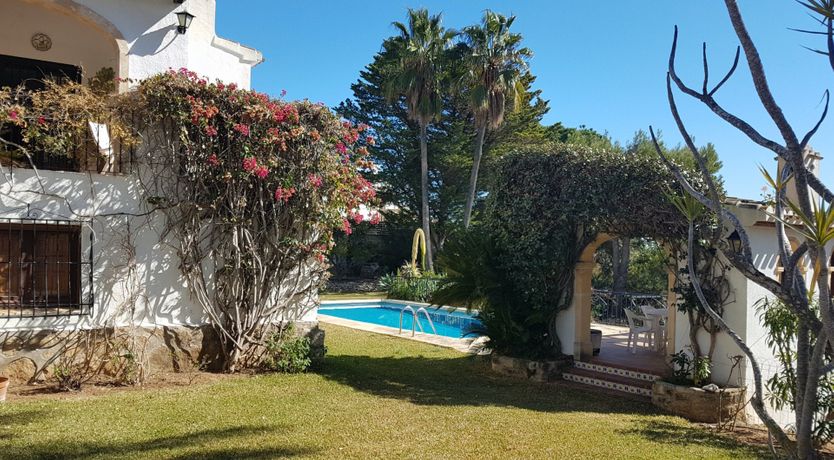 Photo of Sweet Lemon