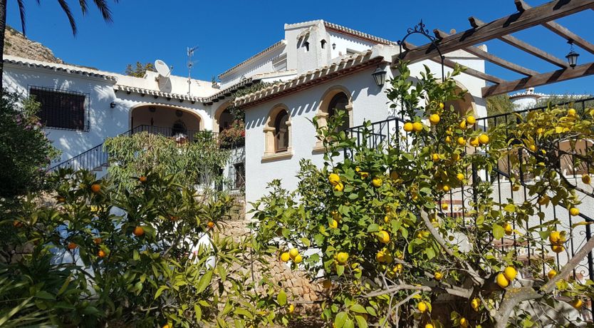 Photo of Sweet Lemon