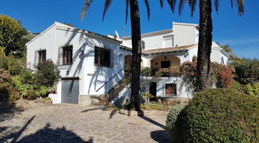 Photo of Sweet Lemon