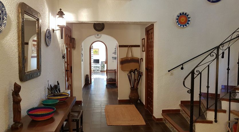 Photo of Sweet Lemon