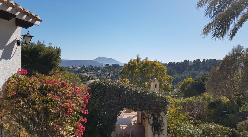 Photo of Sweet Lemon