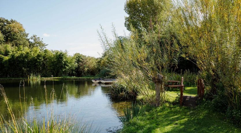 Photo of Over the Pond