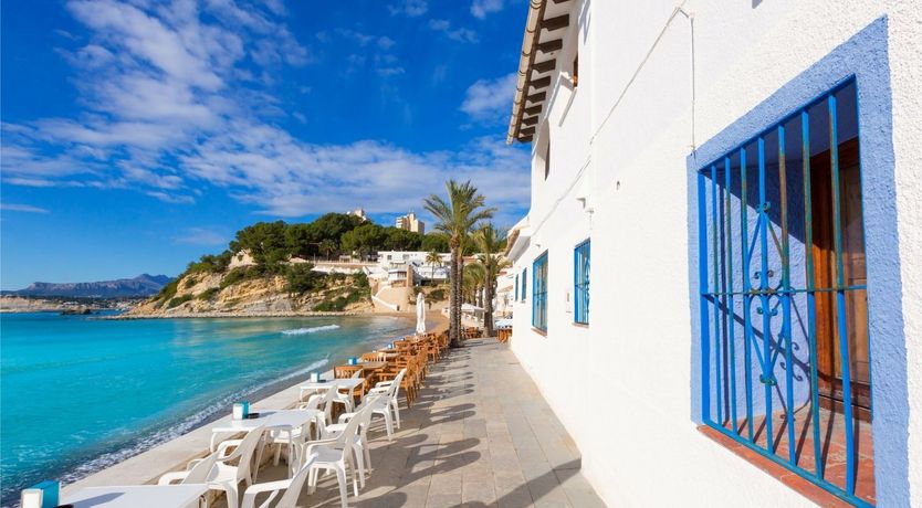 Photo of Blue Sky & Palms