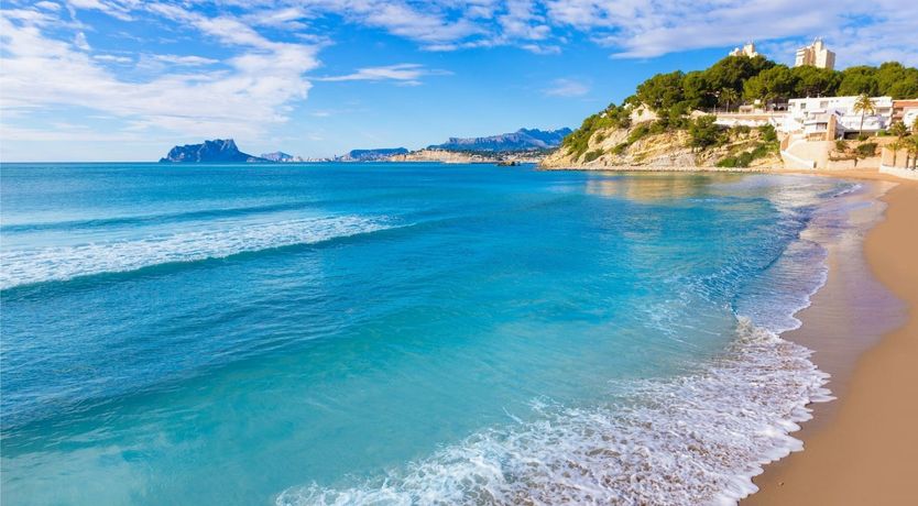 Photo of Blue Sky & Palms