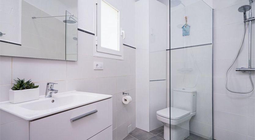 Photo of Blue Sky & Palms