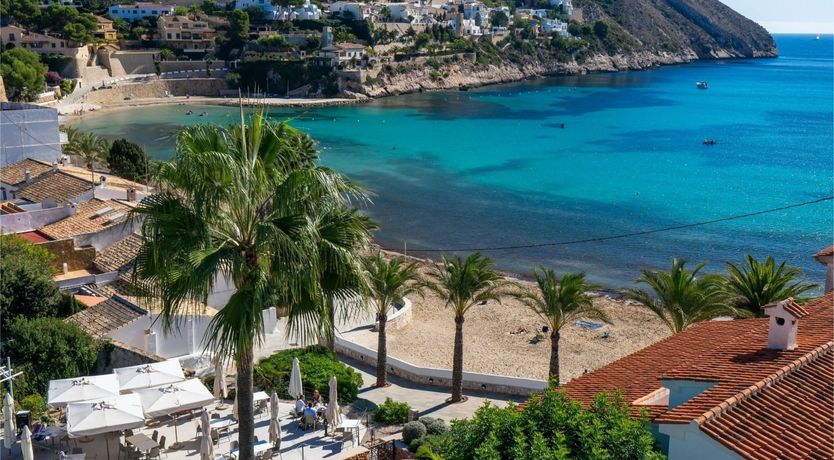 Photo of Blue Sky & Palms