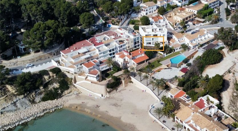 Photo of Blue Sky & Palms