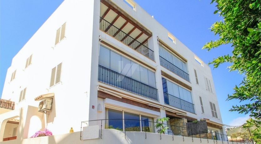 Photo of Blue Sky & Palms