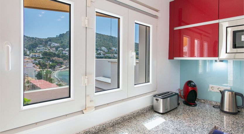 Photo of Red Carnation Petal