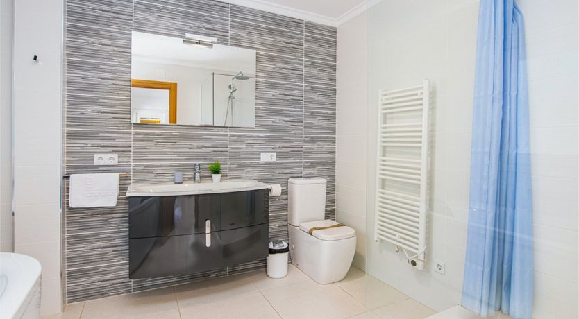 Photo of Red Carnation Petal