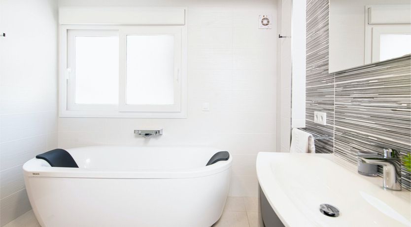 Photo of Red Carnation Petal