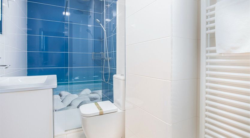 Photo of Red Carnation Petal