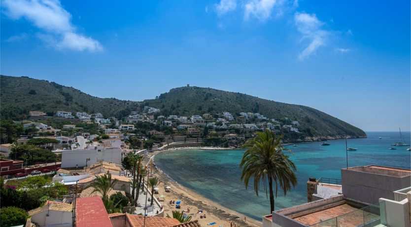 Photo of Red Carnation Petal