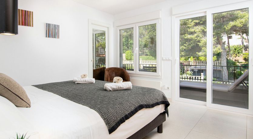 Photo of Red Carnation Petal