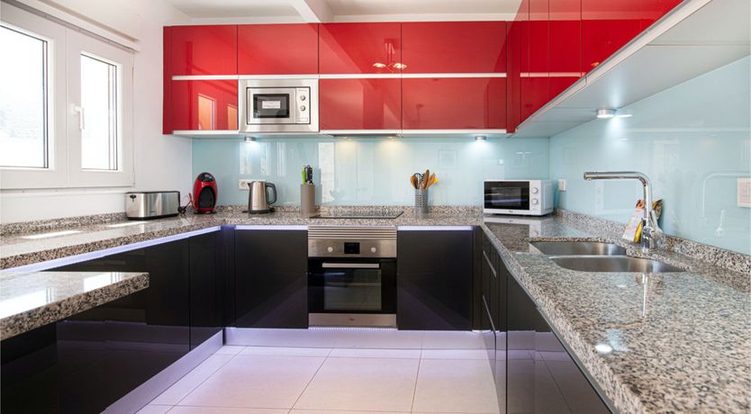 Photo of Red Carnation Petal