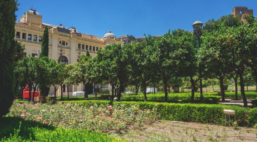 Photo of Guernica's Gambit