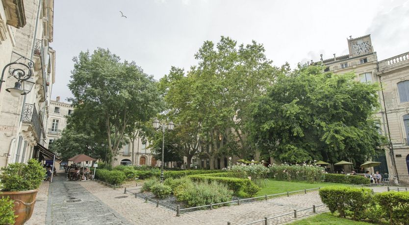 Photo of Marble & Mimosa