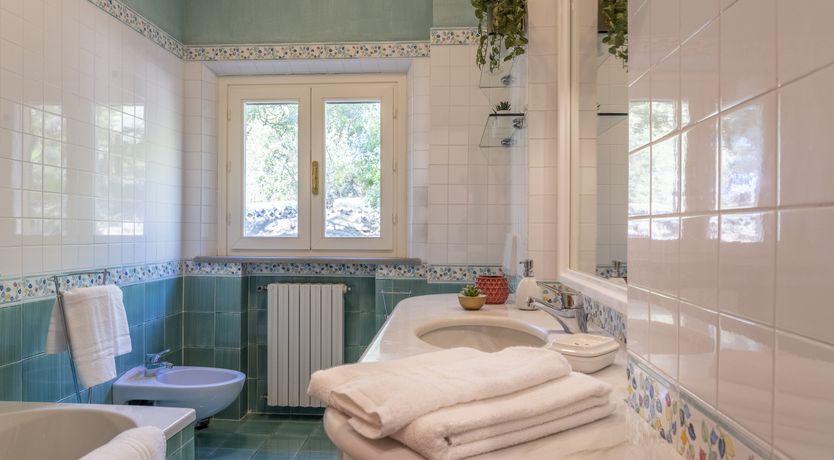 Photo of Visions of Vinci