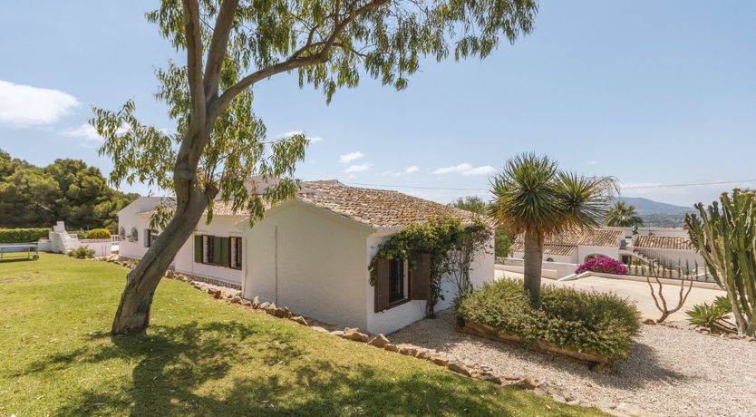 Photo of A Picture of Nature