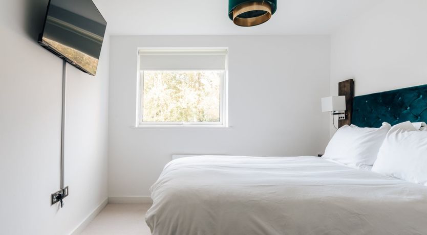 Photo of Roses in Bloom