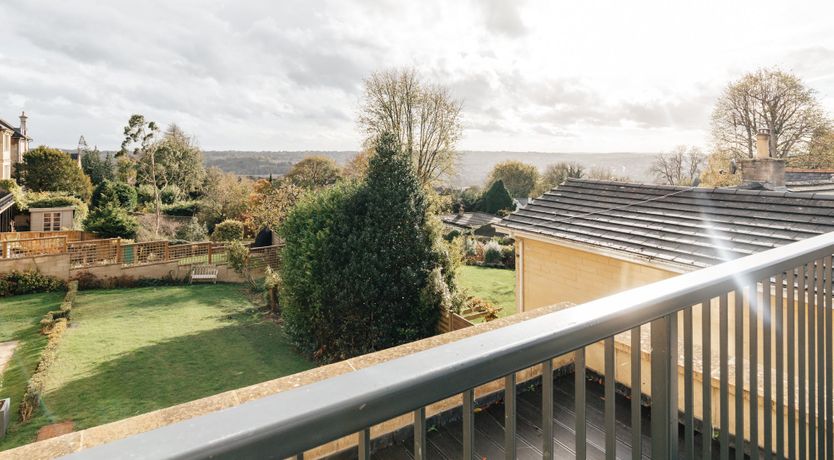 Photo of Roses in Bloom