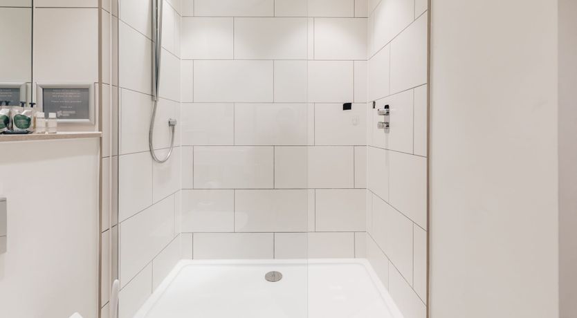 Photo of Roses in Bloom