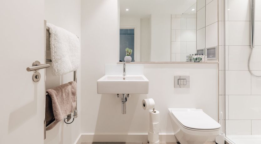 Photo of Roses in Bloom