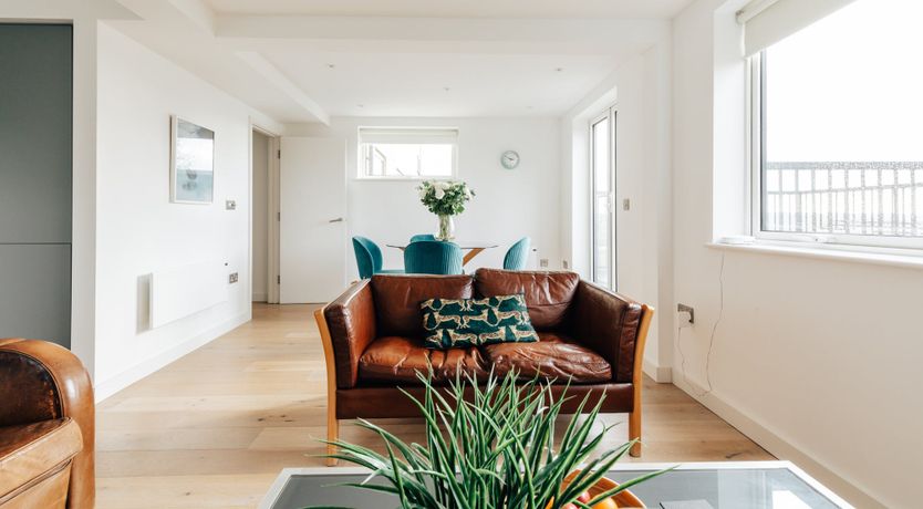 Photo of Roses in Bloom