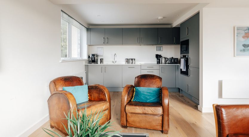 Photo of Roses in Bloom