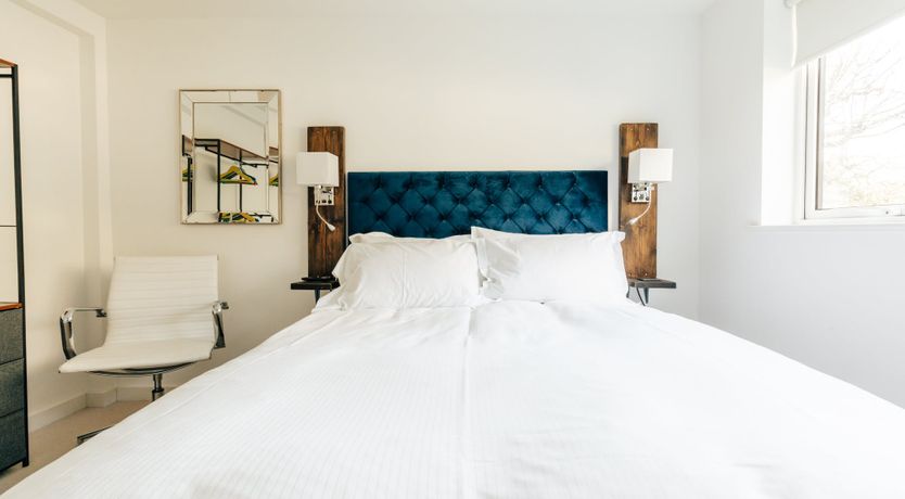 Photo of Roses in Bloom