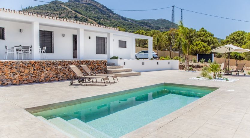 Photo of Between The Palm Leaves